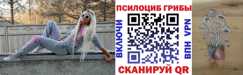 Псилоцибиновые грибы Cubensis  hydra маркетплейс  Егорьевск 