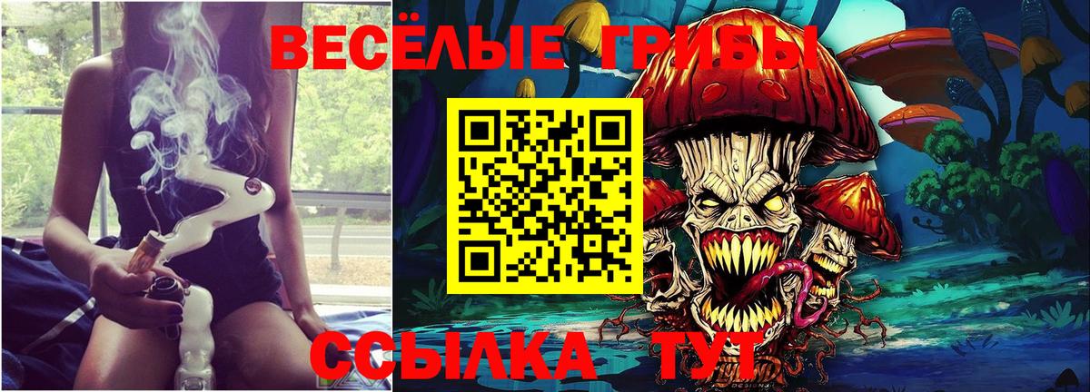 НБОМе Егорьевск