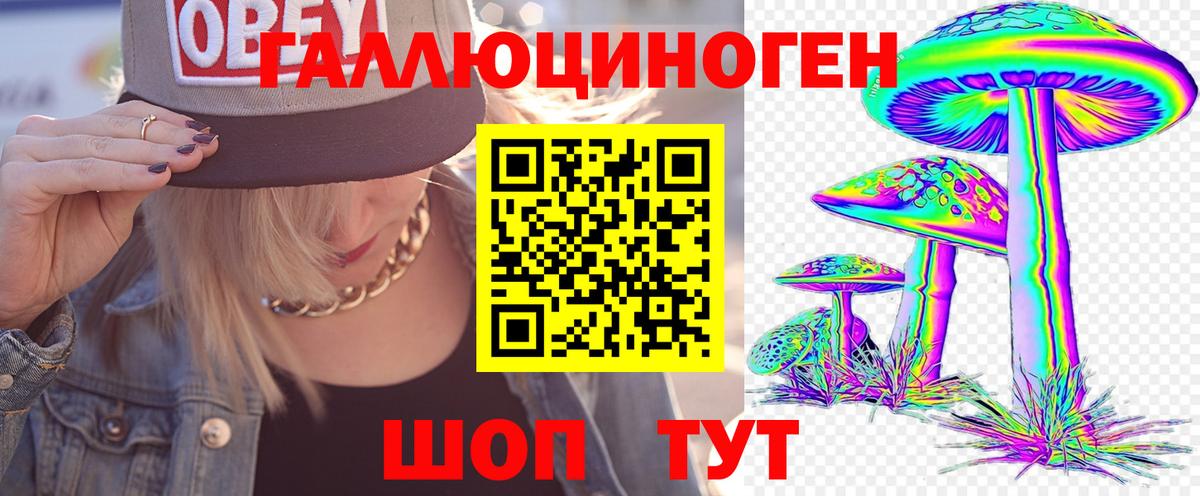 Егорьевск  Псилоцибиновые грибы мицелий  Вход с VPN 